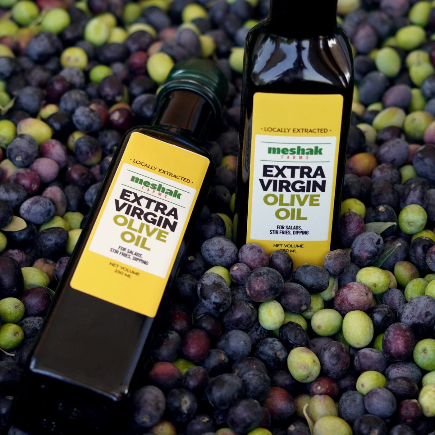Both Meshak bottle sizes side by side on freshly picked olives